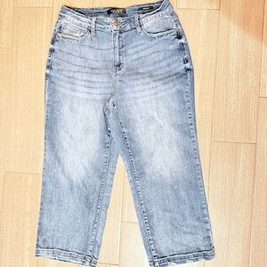 Judy Blue Blue Straight Leg Capri 24” inseam Jeans